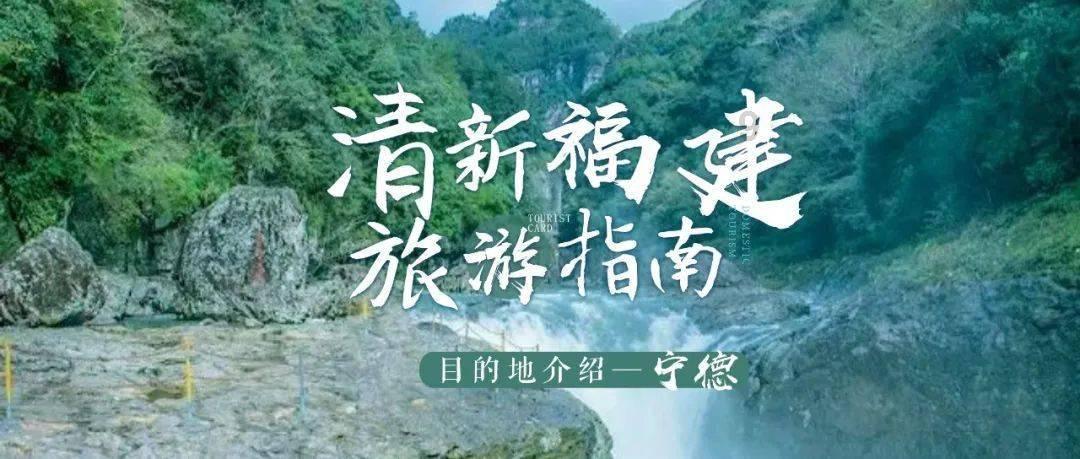 疯狂的小偷