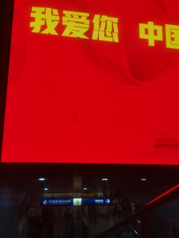 小乌龟逃亡记