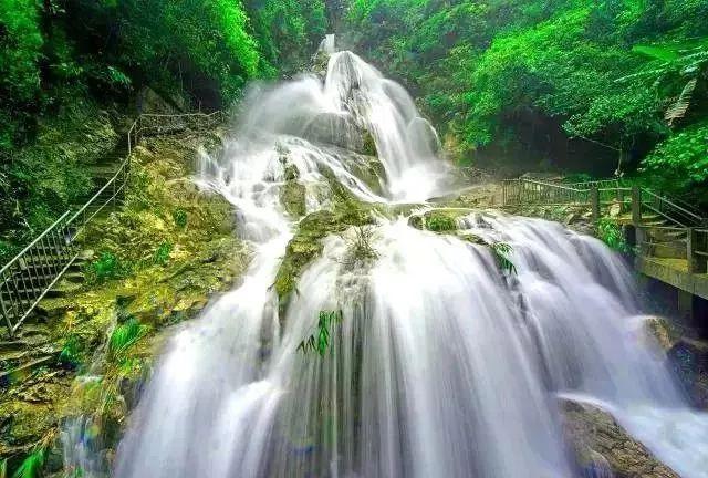 春雨直播app